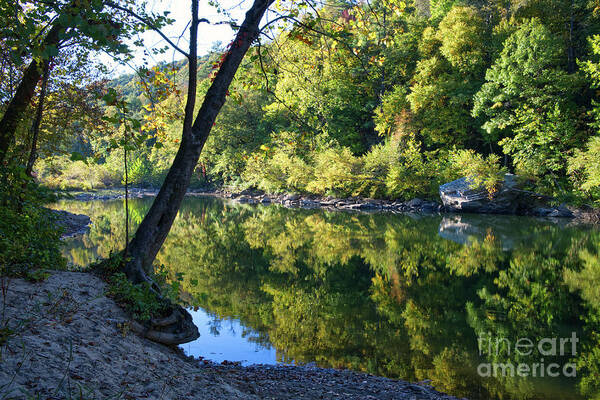 Obed Wild And Scenic National Park Art Print featuring the photograph Autumn Reflections 9 by Phil Perkins