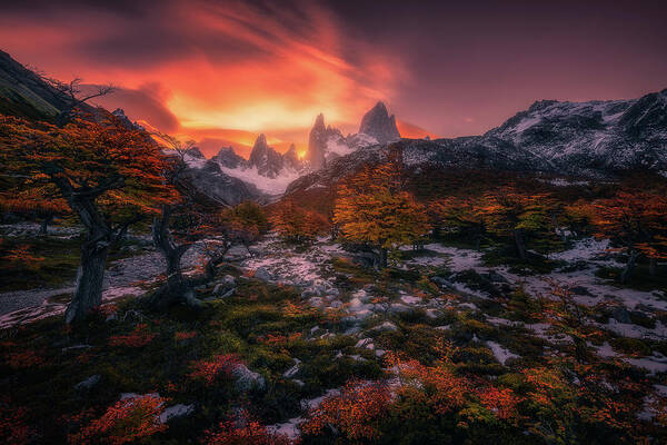 Fitz Roy Art Print featuring the photograph Autumn Sunset at Fitz Roy by Henry w Liu