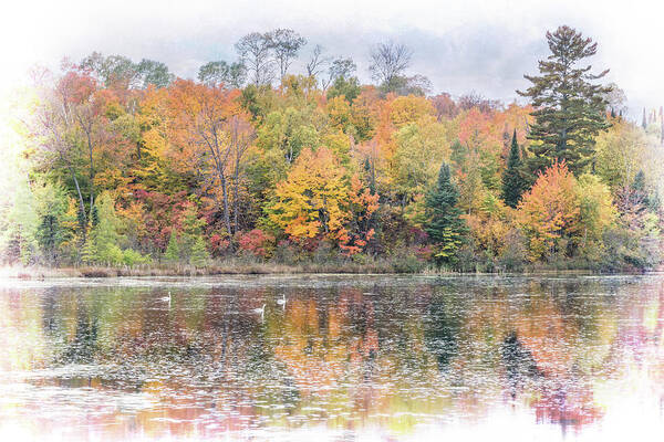 Landscape Art Print featuring the photograph Autumn Swan Lake by Patti Deters