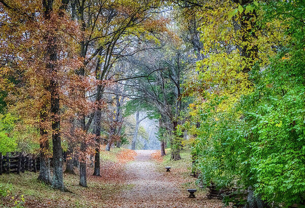 2017 Art Print featuring the photograph Autumn Walk by Gerri Bigler