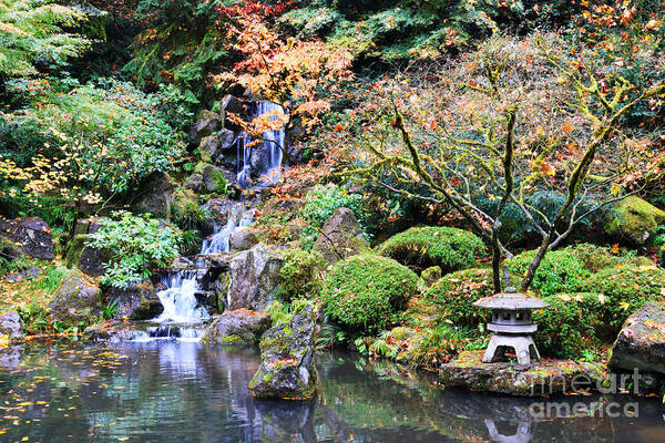 Japanese Gardens Art Print featuring the photograph Autumn Zen by Carol Groenen