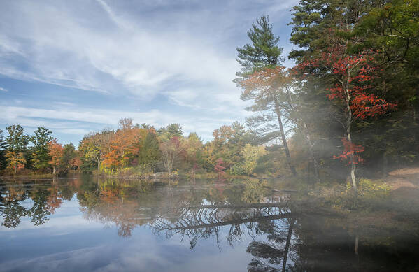 Autumn Art Print featuring the photograph Autumn's Morning Fog by Sylvia Goldkranz