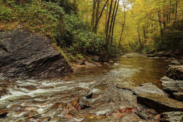 Blue Ridge Pkwy Art Print featuring the photograph B2725 Looking Glass Creek by Stephen Parker