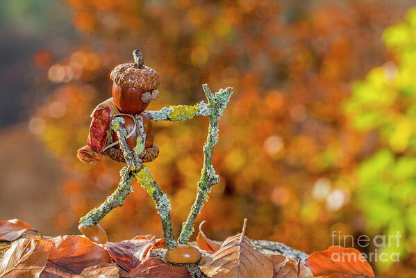 Figure Art Print featuring the photograph Backpacker and Fall Colors by Arterra Picture Library