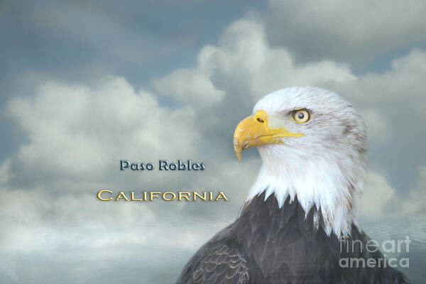 Paso Robles Art Print featuring the mixed media Bald Eagle Paso Robles CA by Elisabeth Lucas