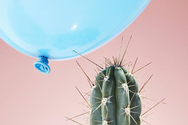 Problems Art Print featuring the photograph Balloon flying too close to cactus by Richard Drury