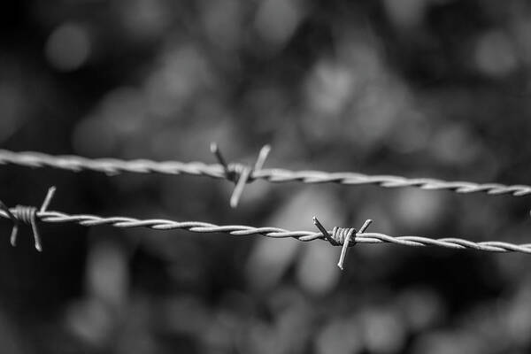 Monochrome Art Print featuring the photograph Barbed Wire by Robert Wilder Jr