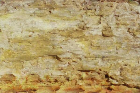 Bark Art Print featuring the mixed media Bark Texture by Christopher Reed