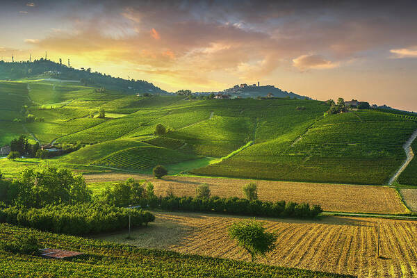 Vineyards Art Print featuring the photograph Barolo wine vineyards and La Morra town. Langhe, Italy by Stefano Orazzini