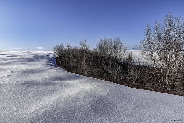 Barrens Winter Landscape Art Print featuring the photograph Barrens Winter Landscape by Marty Saccone