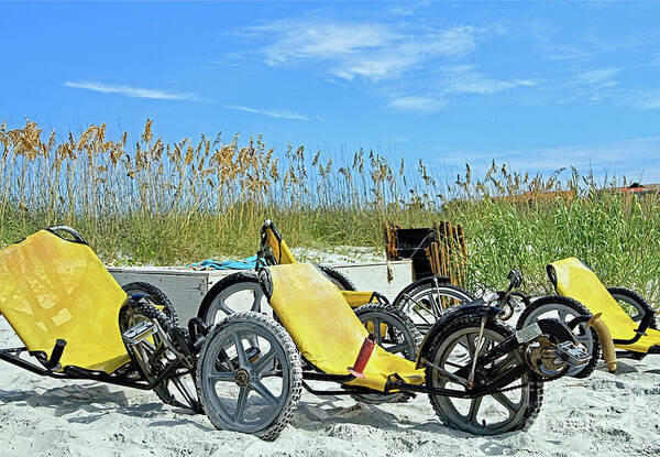 Beach Art Print featuring the photograph Beach Buggies by Tom Watkins PVminer pixs