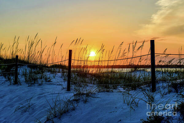 Sun Art Print featuring the photograph Beach Sand Dunes Sunset, Perdido Key, Florida by Beachtown Views