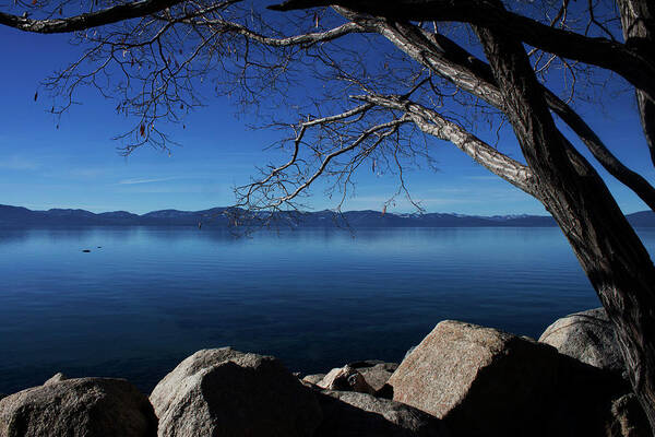 Lake Tahoe Art Print featuring the photograph Beautiful View of Lake Tahoe by Ivete Basso Photography