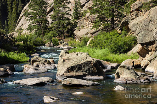 Eleven Mile Canyon Art Print featuring the photograph Beautiful Water of the South Platte River by Steven Krull