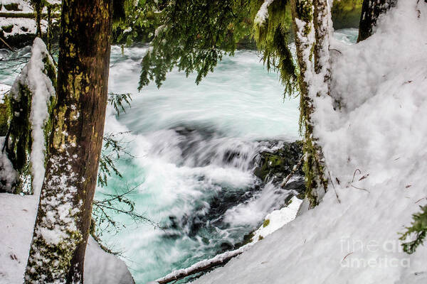 Oregon Landscape Art Print featuring the photograph Beauty In The Frame by Janie Johnson