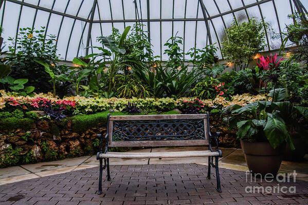 Belle Isle Conservatory Art Print featuring the photograph Belle Isle Conservatory by Randy J Heath