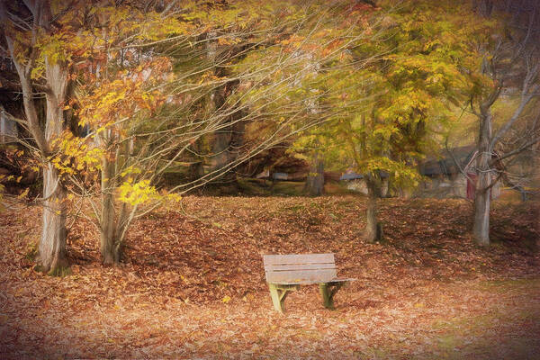 Barns Art Print featuring the photograph Bench in the Fallen Leaves Creeper Trail in Autumn Fall Colors D by Debra and Dave Vanderlaan