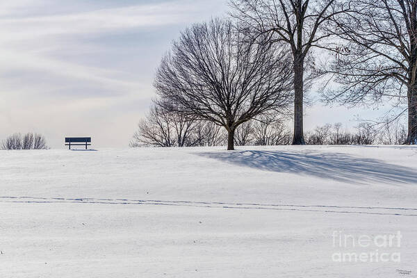 Snow Art Print featuring the photograph Bench On Snow Covered Hill by Jennifer White