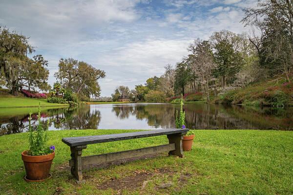 Middleton Place Plantation Art Print featuring the photograph Bench with a View by Cindy Robinson