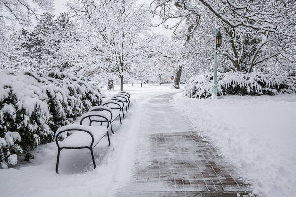 Beaumounnt Tower Winter Art Print featuring the photograph Benches in Winter MSU by John McGraw