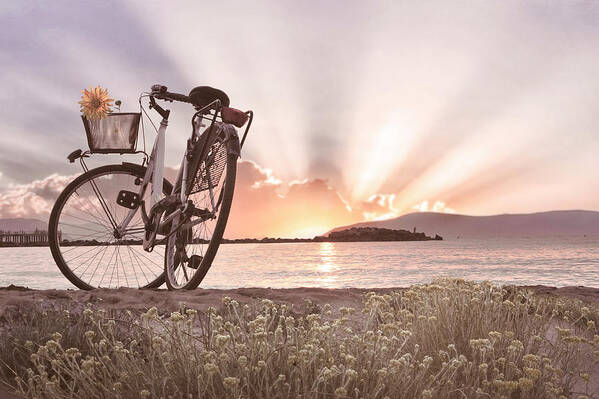 Bike Art Print featuring the photograph Bicycle at the Shore Cottage by Debra and Dave Vanderlaan
