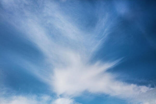 Cloudscape Art Print featuring the photograph Bird in Flight Cloudscape by Debra and Dave Vanderlaan