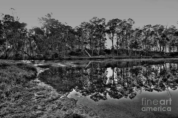 Bridgetown Art Print featuring the photograph Blackwood Reflections #8 by Elaine Teague