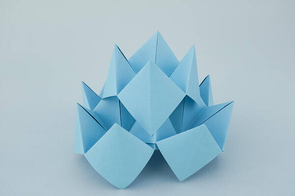 Art Art Print featuring the photograph Blue Lotus Origami by Catherine MacBride