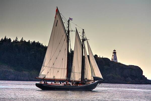 Blue Nose Sailing Ship Petit Passage Nova Scotia Bluenose11 Sails Ocean Bay Of Fundy Schooner Sea Shore Sailors Clipper Art Print featuring the photograph Bluenose11 by David Matthews