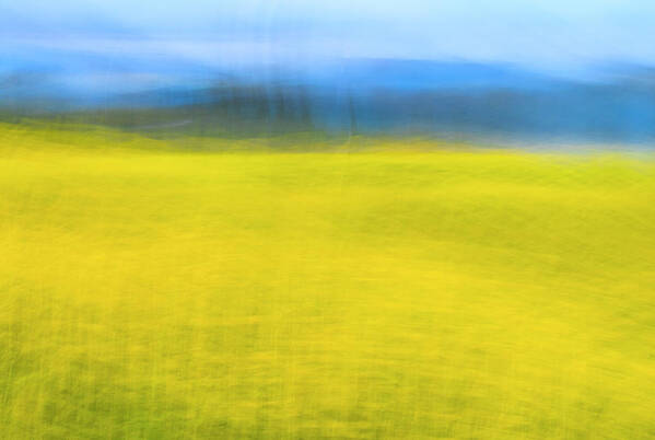 Nature Art Print featuring the photograph Blurred Movement by Shelby Erickson