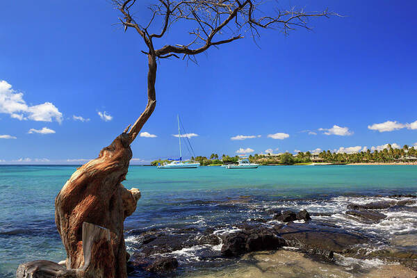 Anaehoomalu Bay Art Print featuring the photograph Boats At Anaehoomalu Bay by James Eddy