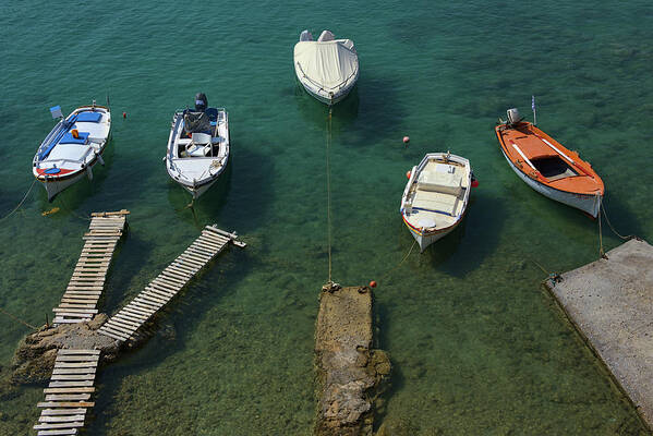 Boats Art Print featuring the photograph Boats in green water by Sean Hannon