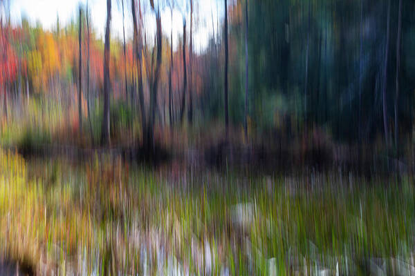Icm Art Print featuring the photograph Bog Area In the Fall by Betty Pauwels