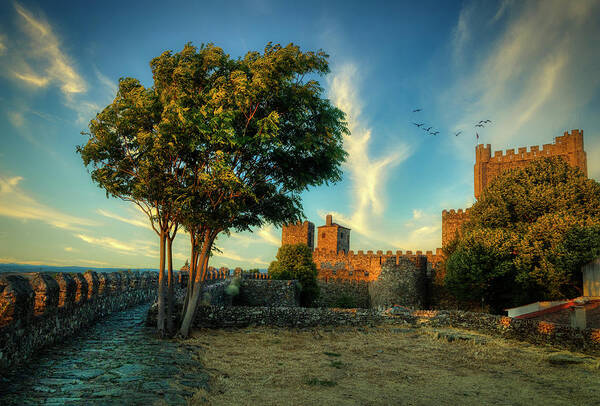 Portugal Art Print featuring the photograph Brarganza Castle by Micah Offman