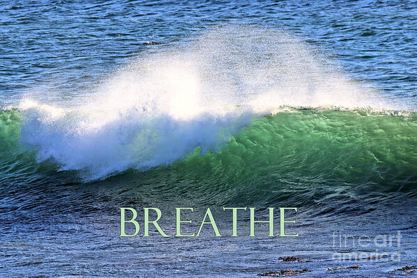 Breathe Art Print featuring the photograph Breathe Deep by Vivian Krug Cotton