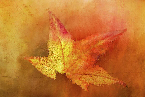 Photography Art Print featuring the digital art Bright Autumn Leaf by Terry Davis