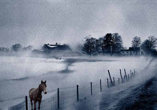 Mist Art Print featuring the photograph Brown Horse on a Blue Farm by Wayne King