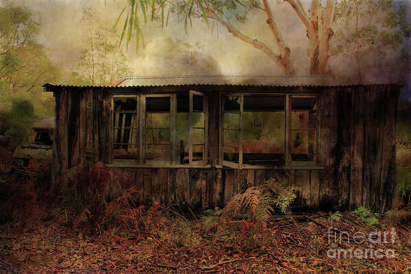 Building Art Print featuring the photograph Burnt Out by Elaine Teague