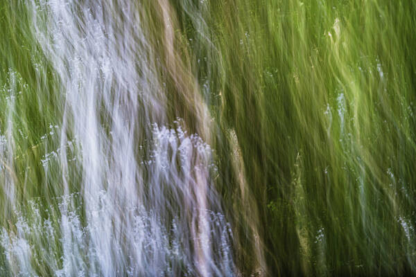 Icm Art Print featuring the photograph Bursting Out by Ada Weyland