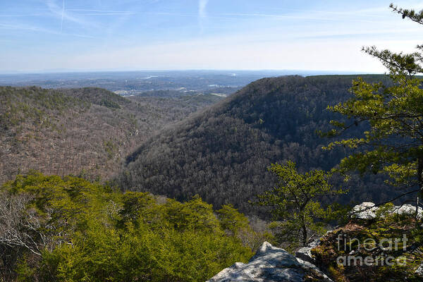 Cumberland Plateau Art Print featuring the photograph Buzzard Point Overlook 1 by Phil Perkins