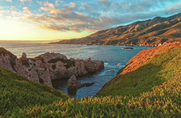 Scenery Art Print featuring the photograph Ca coast summer 2 by Jonathan Nguyen