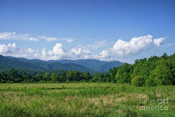 Tennessee Art Print featuring the photograph Cades Cove Landscape 3 by Phil Perkins
