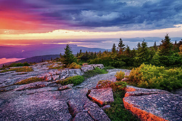 Acadia National Park Art Print featuring the photograph Cadillac Mountain 8274 by Greg Hartford