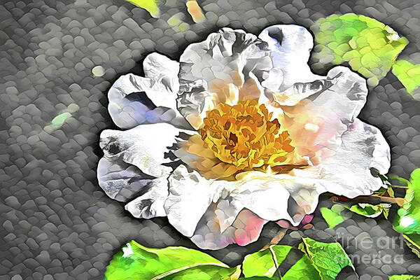 Floral Art Print featuring the photograph Camellia Sasanqua Semi-Abstract by Diana Mary Sharpton