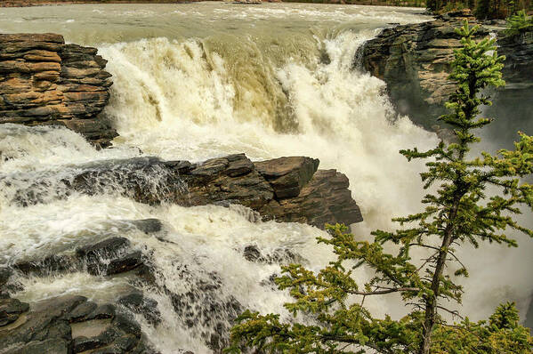 3x2 Art Print featuring the photograph Canadian Rapids, Canada by Mark Llewellyn