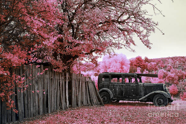 Pink Art Print featuring the photograph Candied Landscape by Russell Brown