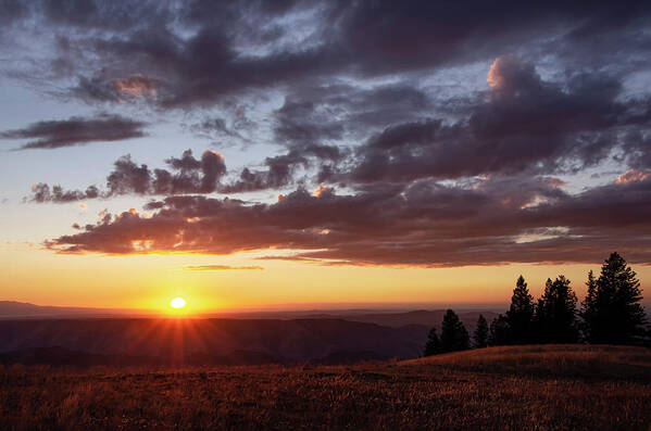 Eastern Oregon Art Print featuring the photograph Canyon Light by Steven Clark