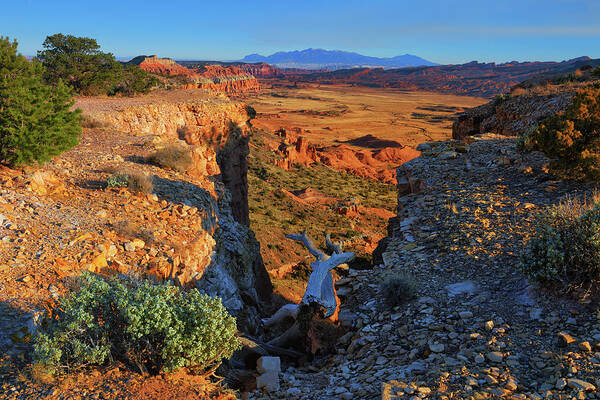 Capitol Reef National Park Art Print featuring the photograph Capitol Reef South Desert by Greg Norrell