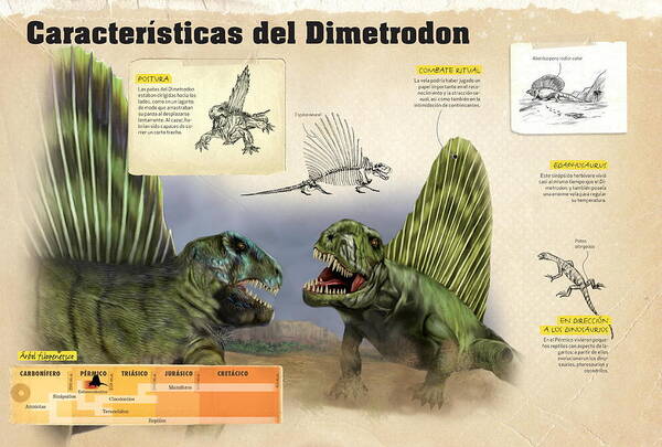 Evolucion Art Print featuring the digital art Caracteristicas del Dimetrodon by Album