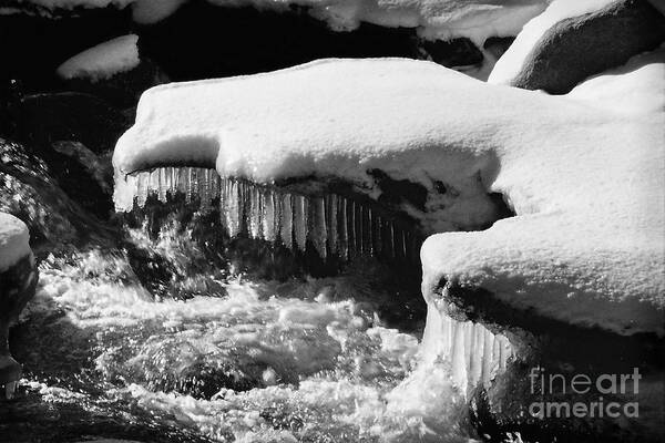 Icicles Art Print featuring the photograph Carson River Chandelier by Brian Watt